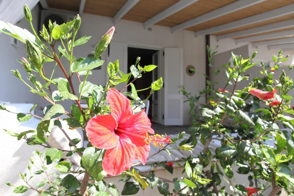 Villa Sea Rose Lipari  Room photo