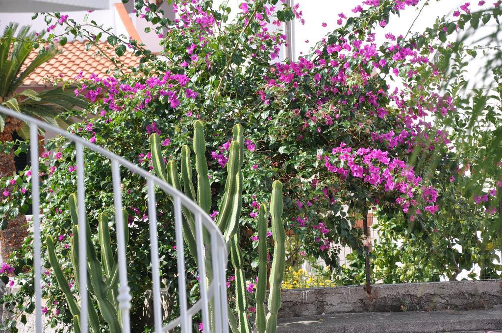 Villa Sea Rose Lipari  Exterior photo